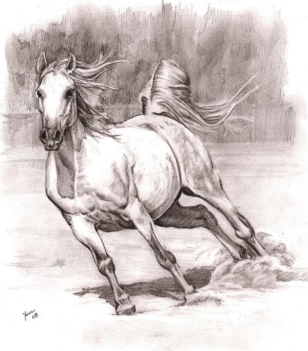 horse_by_Alleycatsgarden