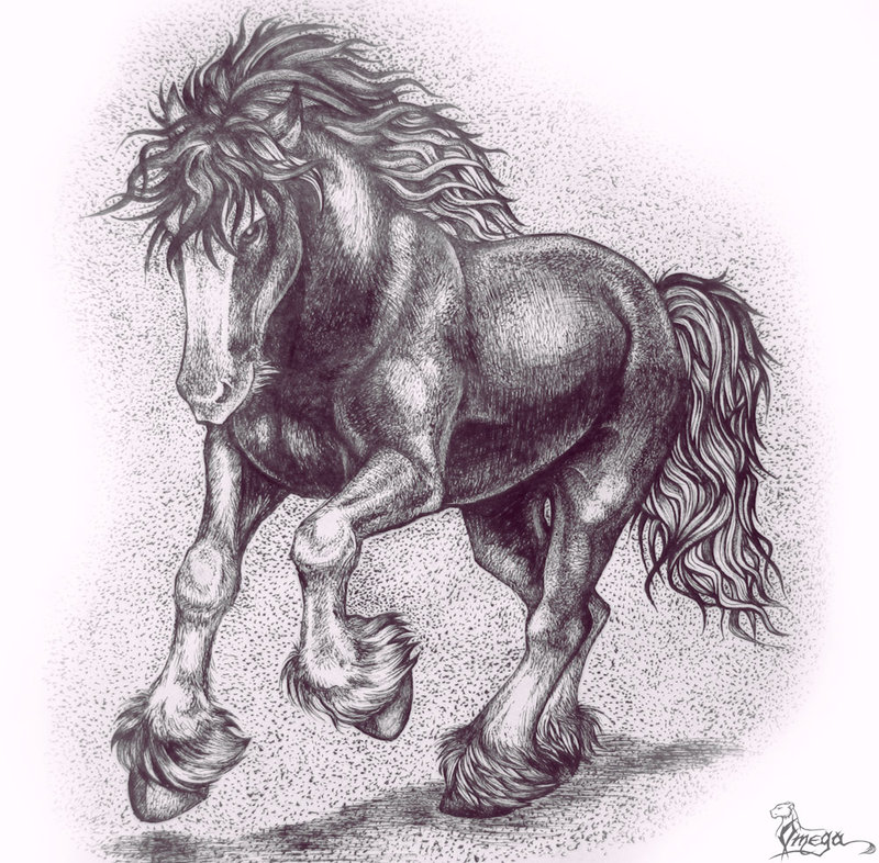 the_horse_by_OmegaLioness